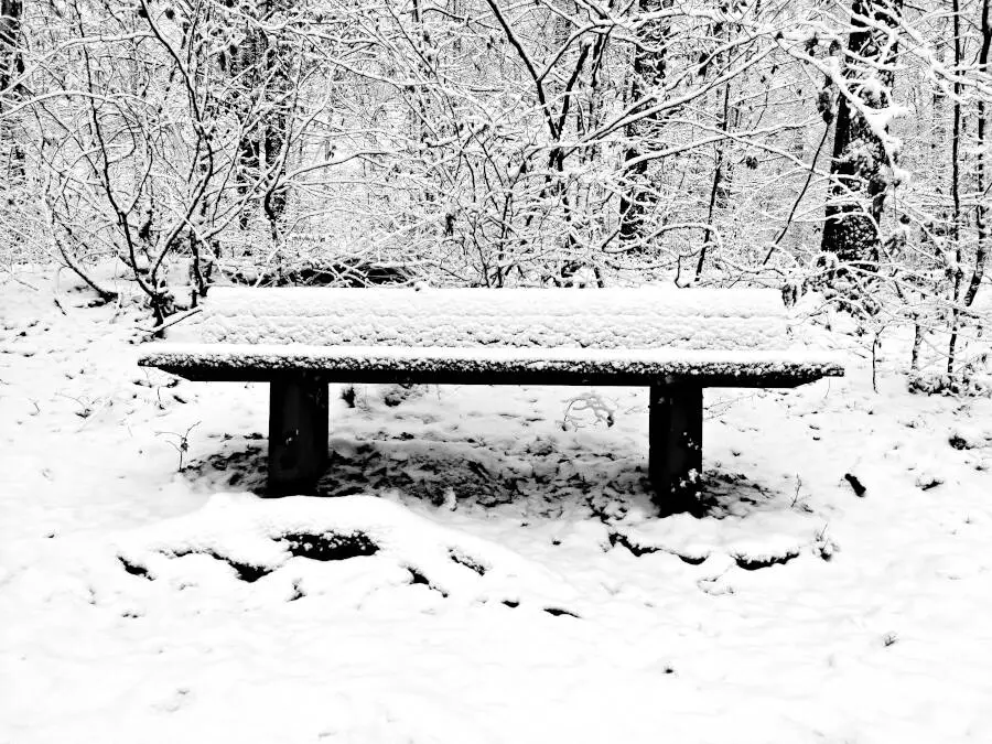 An empty bench in the snow 